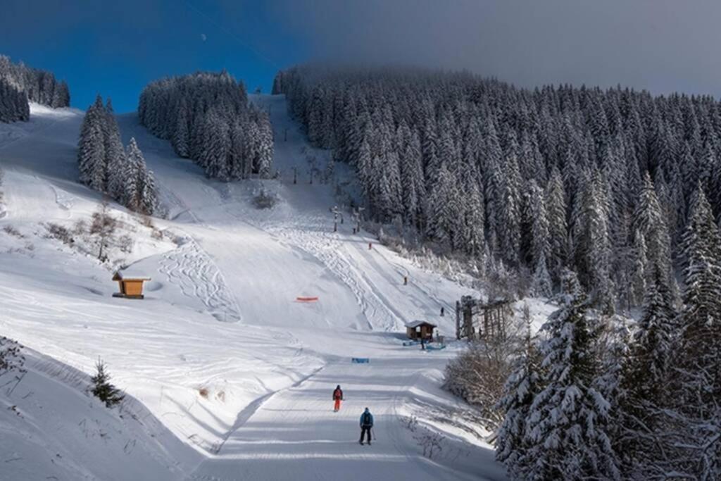 Le Relai S31 - Grand Et Lumineux Studio Avec Coin Montagne 4-6 Pers, Tout Equipe, Avec Wifi, A 30M Des Pistes Avec Un Grand Balcon, Draps Non Compris Saint-Jean-d'Aulps Ngoại thất bức ảnh